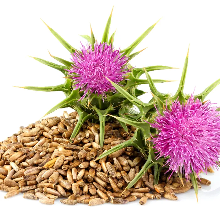 Milk Thistle Seed Organic